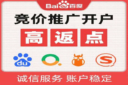 百度推广中的创意策略：成功案例解析与启示